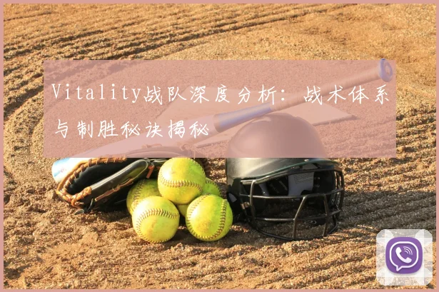 Vitality战队深度分析:战术体系与制胜秘诀揭秘